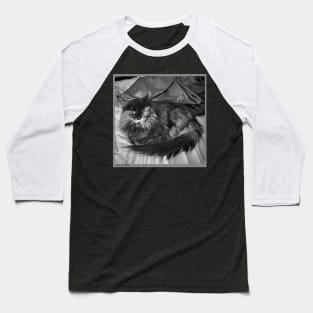 Daisy Cat Baseball T-Shirt